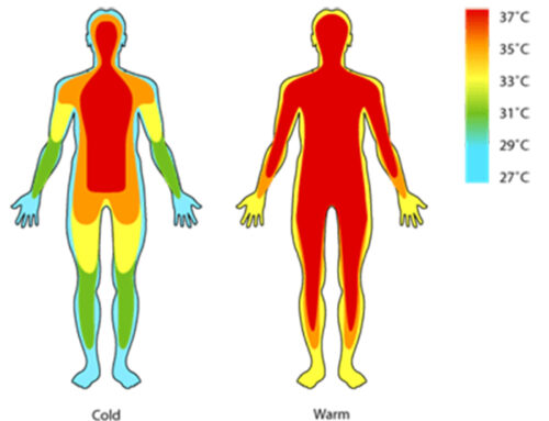 How heat can help turn your immune system on